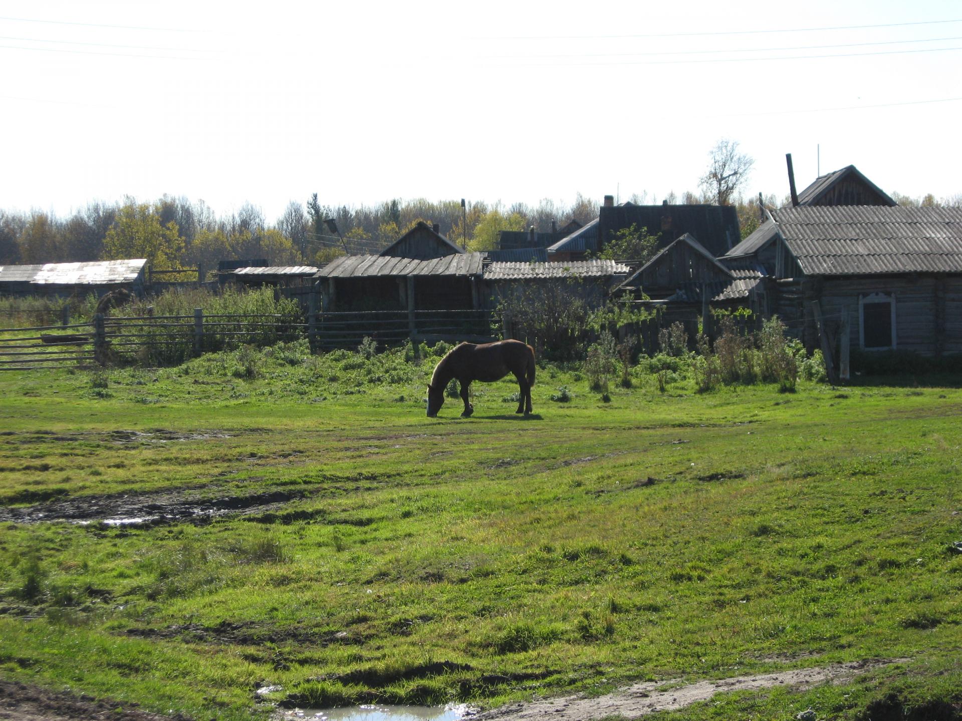 Пасечное Красноярский край.
